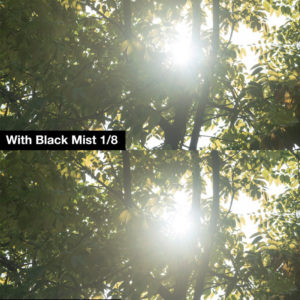 Comparison image showing sunlight through trees with Black Mist Filter for enhanced visual effects
